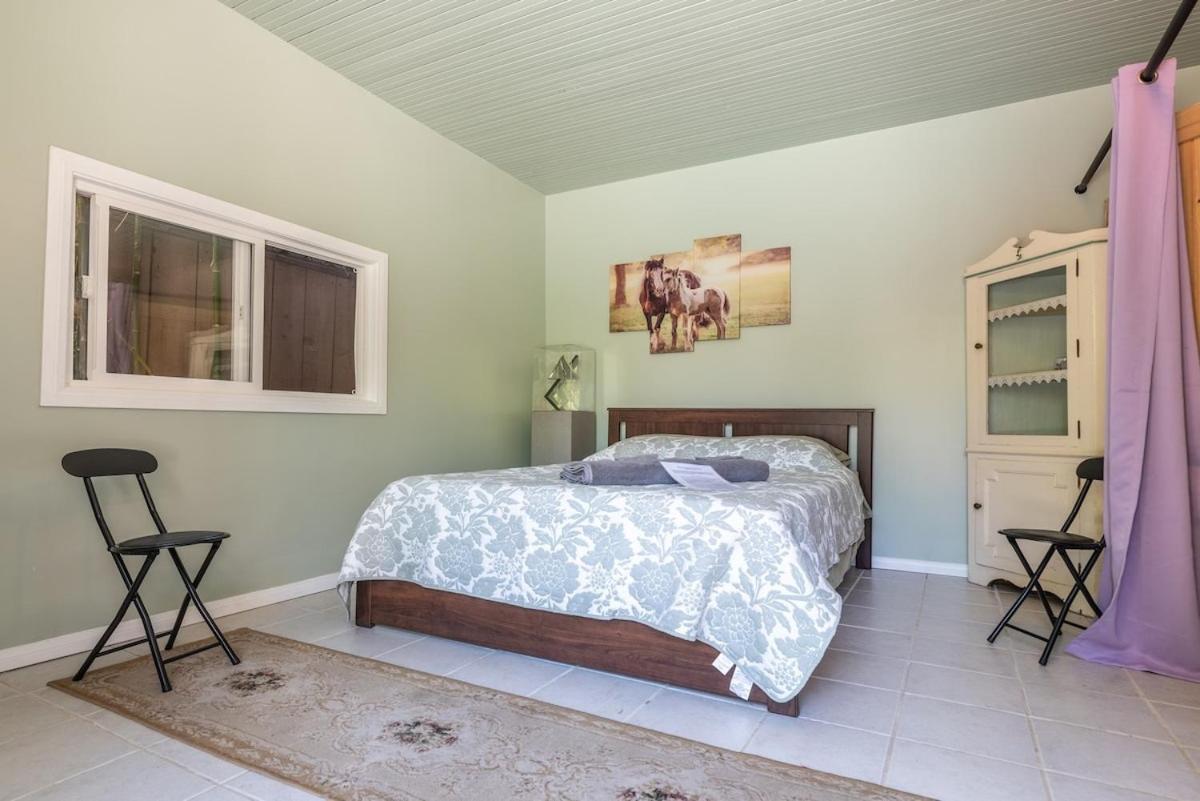 Homestay Pool - Entire Guest - Private Entrance